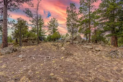 43 Doe Circle, Bailey, CO 80421 - Photo 34