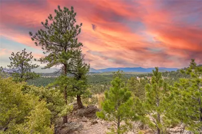 43 Doe Circle, Bailey, CO 80421 - Photo 18