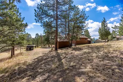 43 Doe Circle, Bailey, CO 80421 - Photo 20