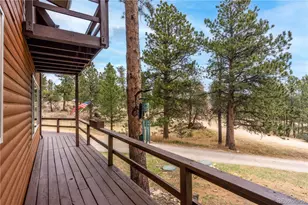 43 Doe Cir, Bailey, CO 80421 - Photo 30