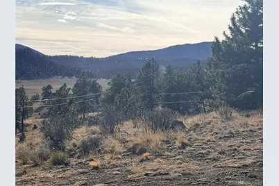 729 Bridle Path, Hartsel, CO 80449 - Photo 8