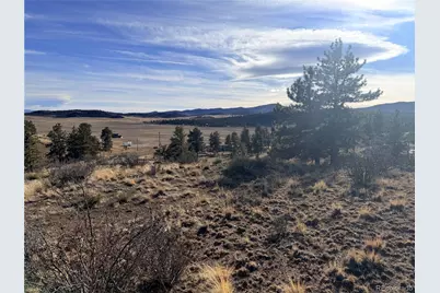 729 Bridle Path, Hartsel, CO 80449 - Photo 4