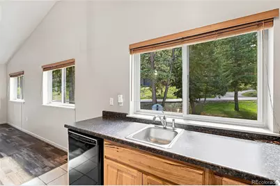 28609 Pine Drive, Evergreen, CO 80439 - Photo 22