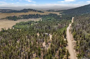 559 Bellows Rd, Hartsel, CO 80449 - Photo 36