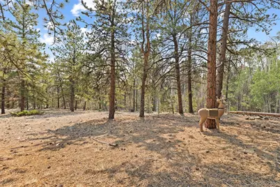 559 Bellows Road, Hartsel, CO 80449 - Photo 48