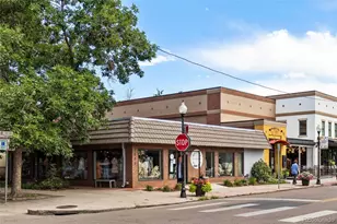 1451 S Columbine St, Denver, CO 80210 - Photo 42