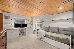 5875 Cheetah Chase, Lone Tree, CO 80124 - Photo 22