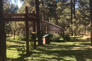 5030 Cedar Way, Elizabeth, CO 80107 - Photo 4