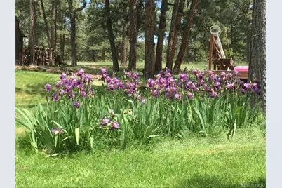 5030 Cedar Way, Elizabeth, CO 80107 - Photo 48