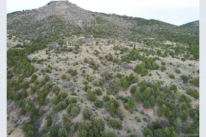 000 Rosebush Road, Canon City, CO 81212 - Photo 8