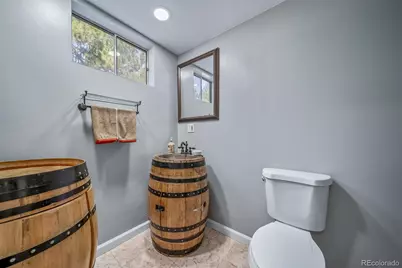 8238 Lakeshore Drive, Parker, CO 80134 - Photo 50