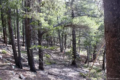 4-1 Lamertine Road, Idaho Springs, CO 80452 - Photo 20