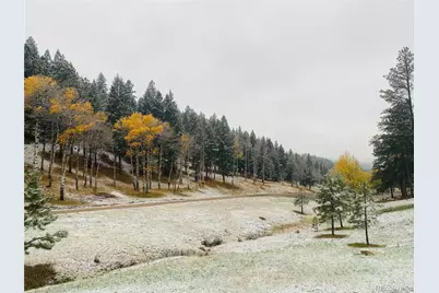 338 Red Lily Place, Evergreen, CO 80439 - Photo 24