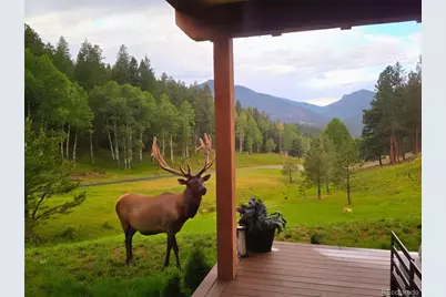 338 Red Lily Place, Evergreen, CO 80439 - Photo 20