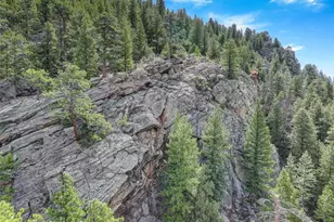 338 Red Lily Pl, Evergreen, CO 80439 - Photo 40