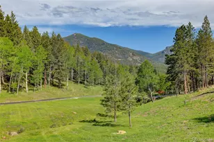 338 Red Lily Pl, Evergreen, CO 80439 - Photo 22