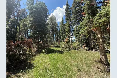 Spring Creek Ranch Road, Silverthorne, CO 80498 - Photo 18
