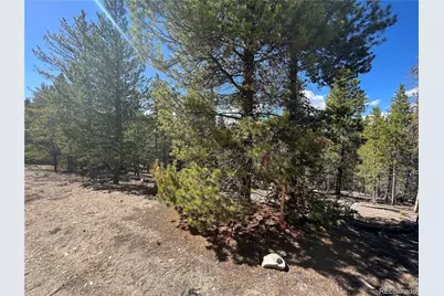 123 Lodgepole Drive, Leadville, CO 80461 - Photo 16