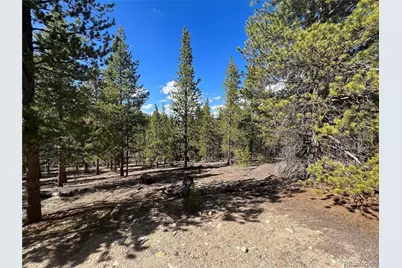 123 Lodgepole Drive, Leadville, CO 80461 - Photo 6