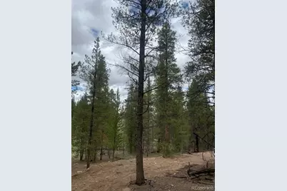 123 Lodgepole Drive, Leadville, CO 80461 - Photo 2