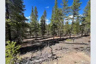 123 Lodgepole Drive, Leadville, CO 80461 - Photo 8