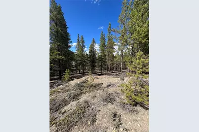 123 Lodgepole Drive, Leadville, CO 80461 - Photo 14