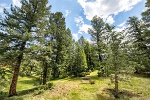 6608 Kiem Rd, Evergreen, CO 80439 - Photo 48