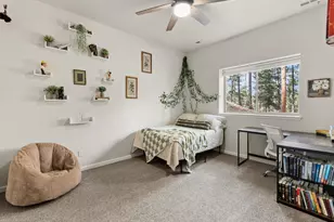 3109 Moonshadow Ln, Evergreen, CO 80439 - Photo 36