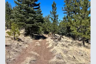 1500 Bunker Hill Road, Westcliffe, CO 81252 - Photo 4