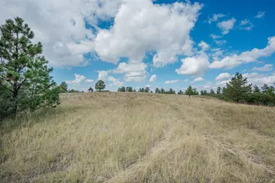 9162 Warriors Mark Drive, Franktown, CO 80116 - Photo 14