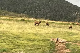 1115 Eagles Gate Rd, Westcliffe, CO 81252 - Photo 34