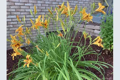 26155 E Jamison Circle S, Aurora, CO 80016 - Photo 38