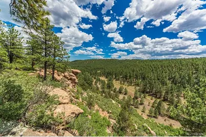 13250 Mountain Meadow Trace, Weston, CO 81091 - Photo 36