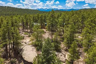 13250 Mountain Meadow Trace, Weston, CO 81091 - Photo 44