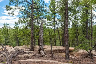 13250 Mountain Meadow Trace, Weston, CO 81091 - Photo 40