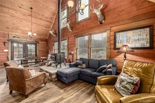 116 Dakota Path, Lake George, CO 80827 - Photo 8