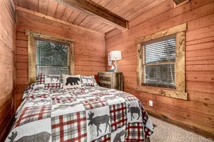 116 Dakota Path, Lake George, CO 80827 - Photo 26