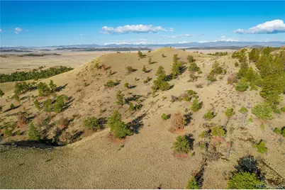 Willow Street, Hartsel, CO 80449 - Photo 20