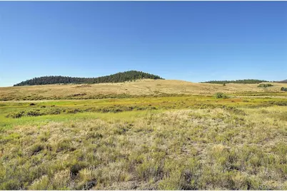 1245 Badger Creek Road, Hartsel, CO 80449 - Photo 30