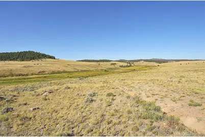 1245 Badger Creek Road, Hartsel, CO 80449 - Photo 26
