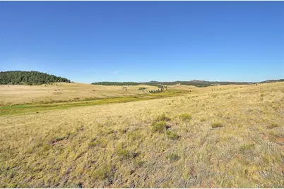 1245 Badger Creek Road, Hartsel, CO 80449 - Photo 24