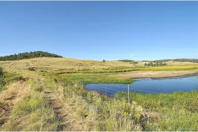 1245 Badger Creek Road, Hartsel, CO 80449 - Photo 1