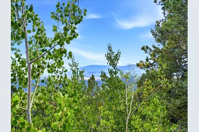 11743 Braun Way, Conifer, CO 80433 - Photo 34