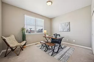 13071 Coffee Tree St, Parker, CO 80134 - Photo 20