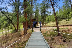 102 Insmont Dr, Bailey, CO 80421 - Photo 34