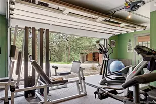 102 Insmont Dr, Bailey, CO 80421 - Photo 40