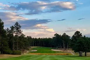 18520 Thunderbird Trail, Monument, CO 80132 - Photo 36