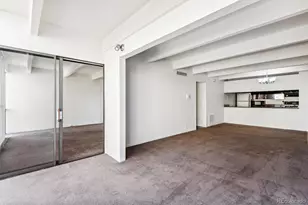 777 N Washington Street, Denver, CO 80203 - Photo 8