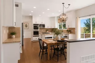3678 Sunridge Terrace Dr, Castle Rock, CO 80109 - Photo 14