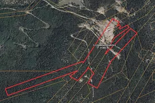 000 Forest Service, Idaho Springs, CO 80425 - Photo 1